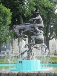 Img 7596 copie 768x1024