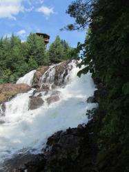 Img 7666 copie 768x1024